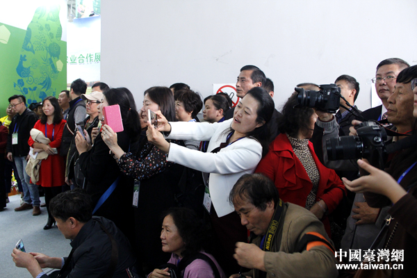 臺灣農企和臺創園亮相第14屆農交會臺灣展區