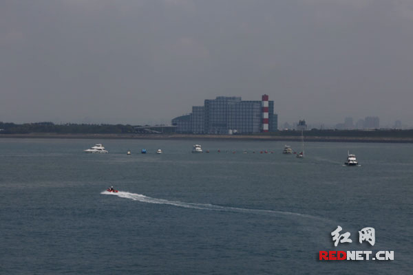 LwidoWts_18餤ȥD14diXtsW