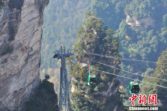張產弦}拓籓灣蝷镼囿檇н阰p10e增15
