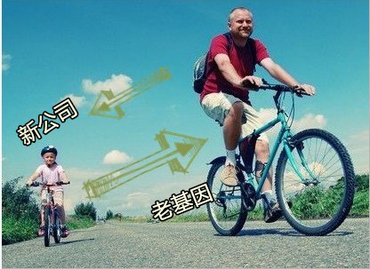 夬IYLqHD{ 夬IYLqHD{