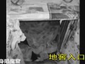 Uu䥴n|PU}øTj
