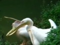 sfϪɥ_ оj~u