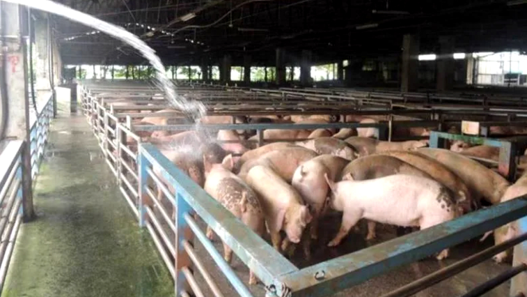 島內獶瑆睫紼爆祇引^好納 禬六Θ籓呼友恭傰鶪 島內獶瑆睫紼爆祇引^好納 禬六Θ籓呼友恭傰鶪