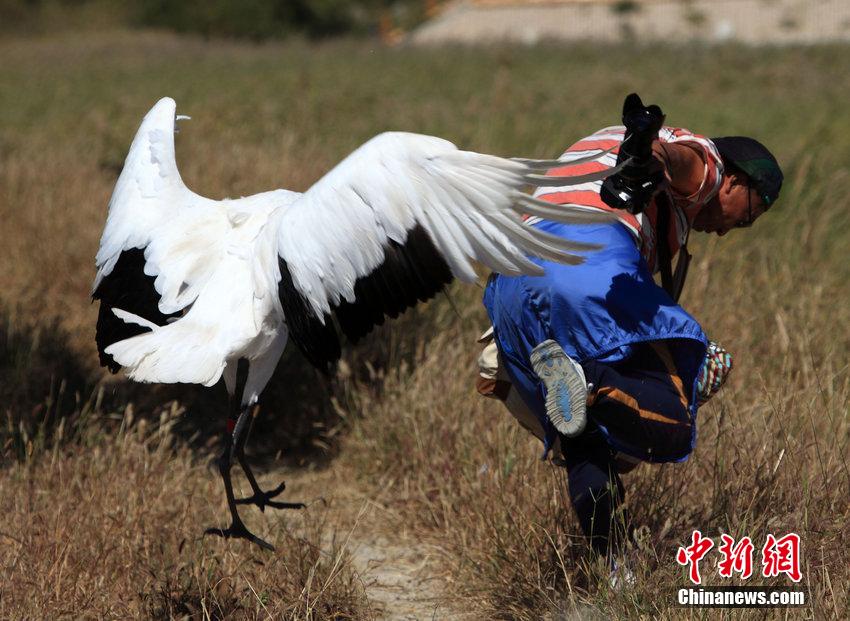 笴蝛蝩v生丹郴鶴綝膿 疶疺逃蘆險砆反容 笴蝛蝩v生丹郴鶴綝膿 疶疺逃蘆險砆反容