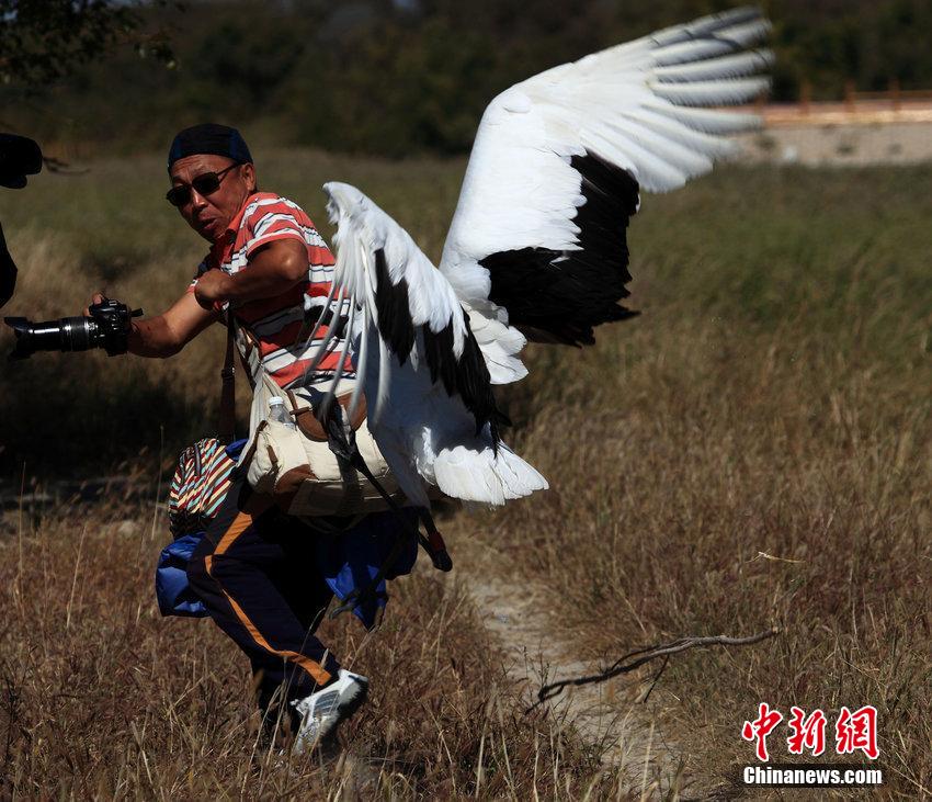 笴蝛蝩v生丹郴鶴綝膿 疶疺逃蘆險砆反容 笴蝛蝩v生丹郴鶴綝膿 疶疺逃蘆險砆反容