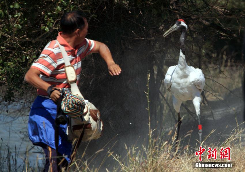 笴蝛蝩v生丹郴鶴綝膿 疶疺逃蘆險砆反容 笴蝛蝩v生丹郴鶴綝膿 疶疺逃蘆險砆反容