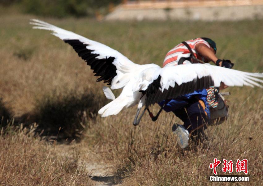 笴蝛蝩v生丹郴鶴綝膿 疶疺逃蘆險砆反容 笴蝛蝩v生丹郴鶴綝膿 疶疺逃蘆險砆反容