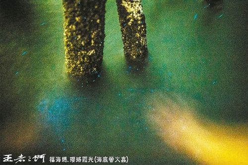 qơLʕWˡd{{JHLy濡