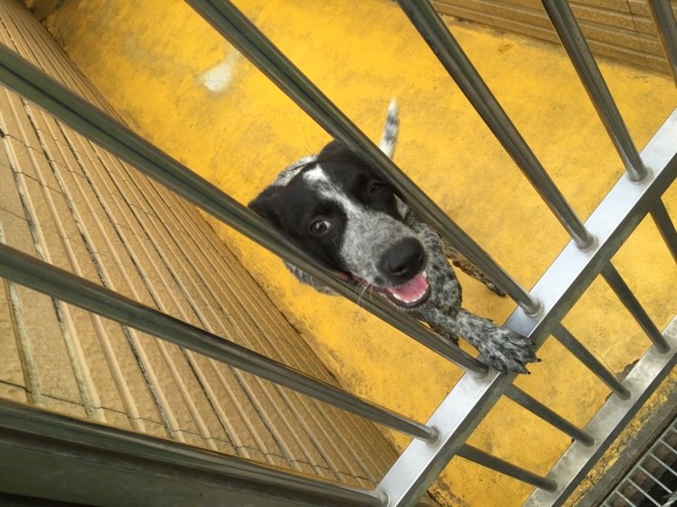 ]V{X±NڹjޤLެyN褣ީI\JRfYN䲣ʕ[WKpL