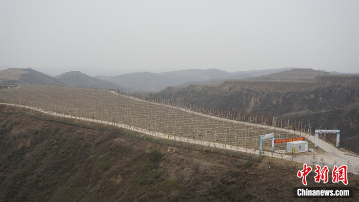 Zw^^o[ħﰨhՕͺAܭSZ <a target='_blank' href='http://big5.arats.com.cn/gate/big5/www.chinanews.com/' ><p  align=