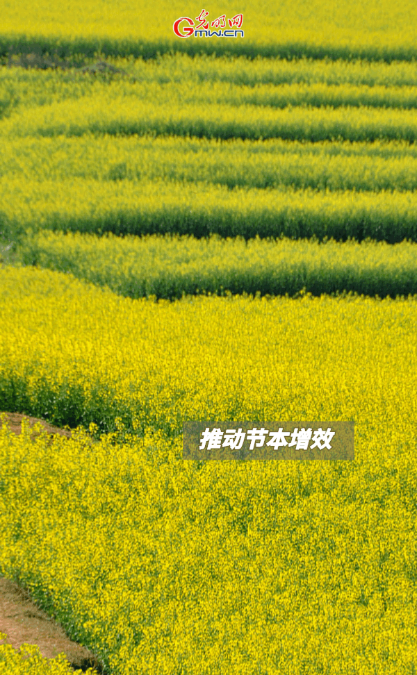 GApH練he|ۣO޳ovY{XRTɐ