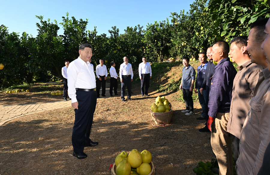 2025�e11��7��޵���������~�I���b�����p�[���v���h�����c�P�q�H�H�m���Ȑޓ����ϢQ�ϧޒ��z�J����y��