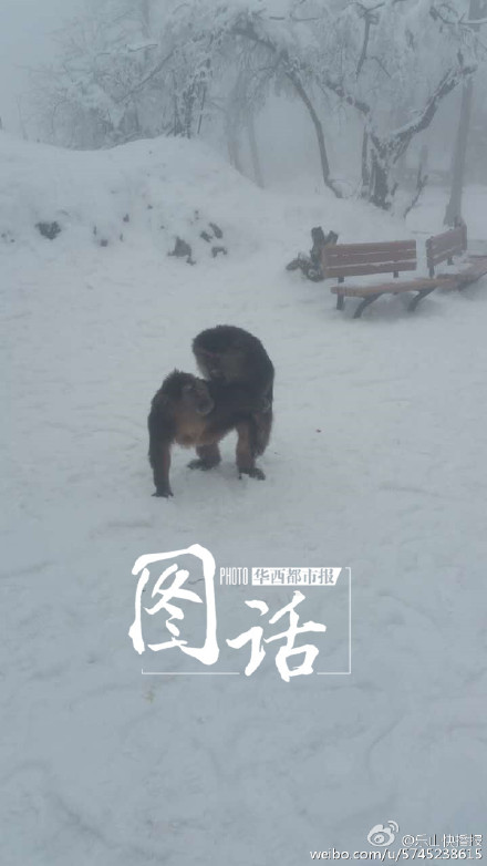 �����A�v�e�_�� ����y��`�~�Q��