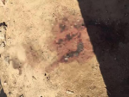 ���ĔH�ڣV�����t��