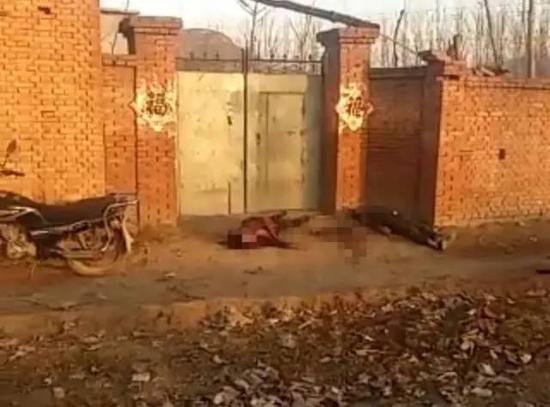 �Q����d���J�I������