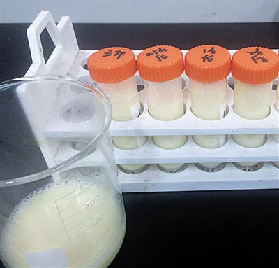 tQzN㧲ޤږImȤBltQsyp~k