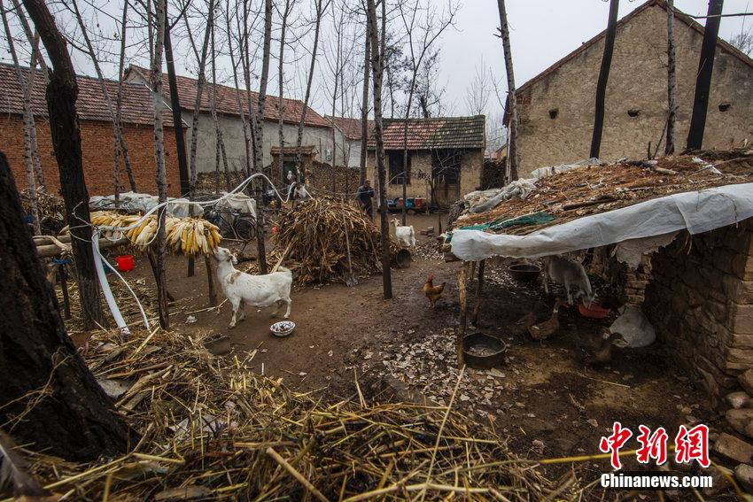 änܤNiFޮ^գj änܤNiFޮ^գj