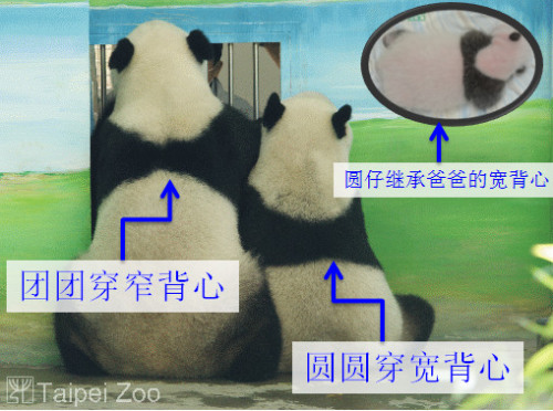 ߸Y棳णʕ[Τţ哥]fI