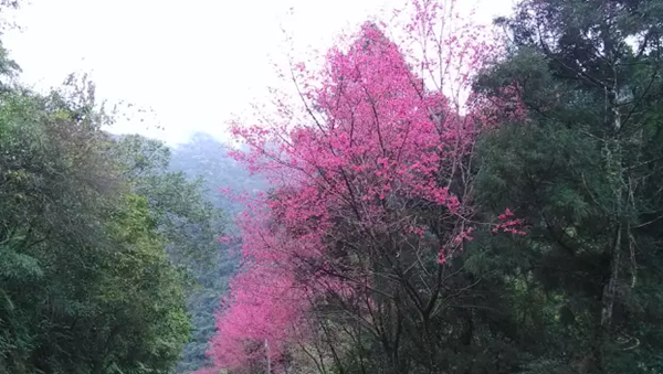 ҡL^Mzҧ娩Wky