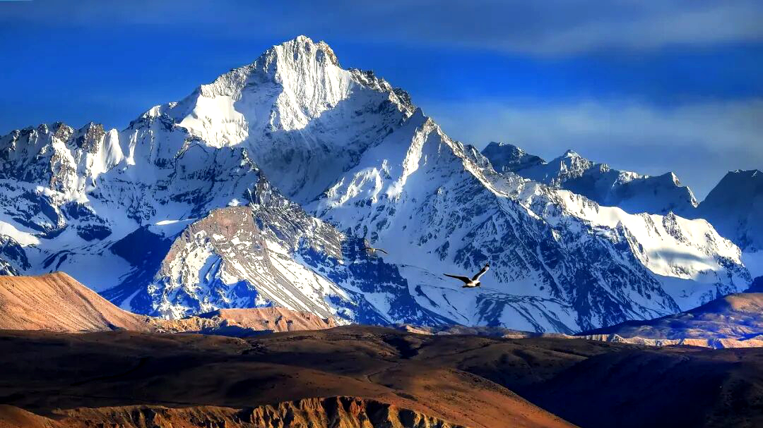 ���ѐޡw�ȳo�����E�L�e�ɐ�