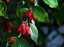 {16B03034-500F-48F5-93FD-8EC5535CF715}_å.jpg