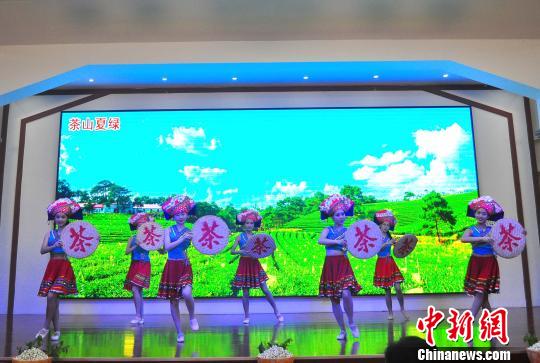 圖為桂臺茶產業發展交流會表演現場。　易佳穎 攝