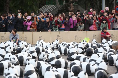 1600只紙熊貓臺北快閃民眾圍觀爭拍照（圖）
