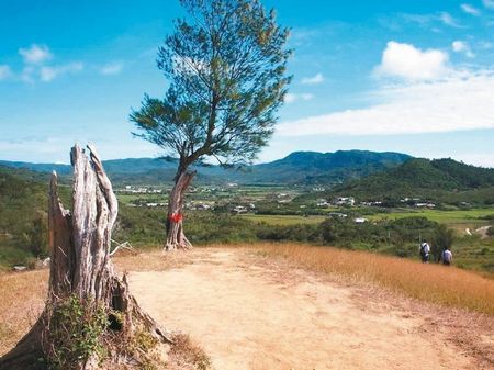 臺風吹散屏東“夫妻樹”村民循古禮為“夫樹”續弦