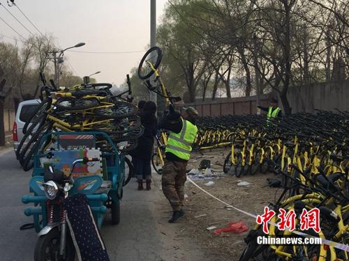 有故障的共享單車正源源不斷地送到維修點。<a target='_blank' href='http://big5.arats.com.cn/gate/big5/www.chinanews.com/' _fcksavedurl='http://big5.arats.com.cn/gate/big5/www.chinanews.com/' ></table><p  align=