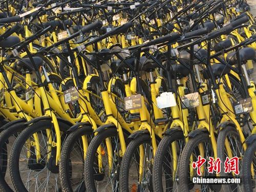 在共享單車維修點，很多共享單車二維碼被涂損。<a target='_blank' href='http://big5.arats.com.cn/gate/big5/www.chinanews.com/' _fcksavedurl='http://big5.arats.com.cn/gate/big5/www.chinanews.com/' ></table><p  align=
