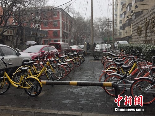 風雪中的共享單車。<a target='_blank' href='http://big5.arats.com.cn/gate/big5/www.chinanews.com/' _fcksavedurl='http://big5.arats.com.cn/gate/big5/www.chinanews.com/' ></table><p  align=