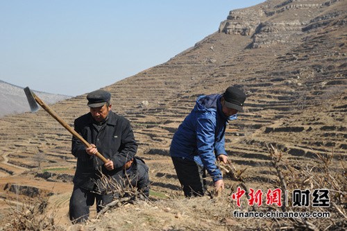 加多寶保證產品能追溯到源頭專家：好原料增加消費信心