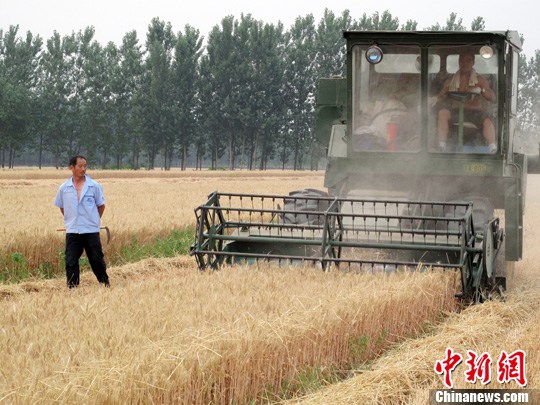 多個糧食主產區量減價跌一些地方虧損嚴重