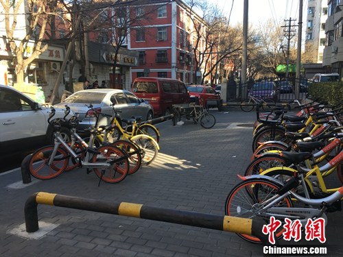 共享單車火遍城市的大街小巷。湯琪 攝