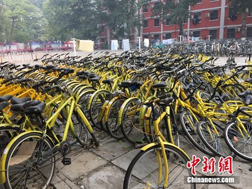 資料圖。北京某所高校內的共享單車數量驚人。中新網 吳濤 攝