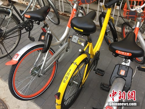 資料圖。某輛共享單車號碼被損。中新網 吳濤 攝