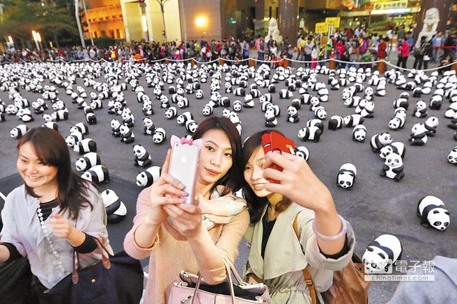 臺北超萌“紙熊貓大軍”開展吸引25萬人次(圖)