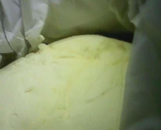 發霉的原料