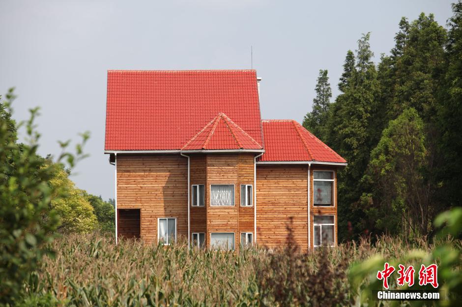 上海最“牛”違建豪宅藏秘林中 上海最“牛”違建豪宅藏秘林中