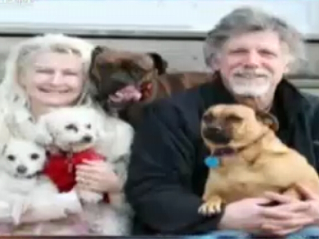 英夫婦9萬元為遭棄貓狗買機票