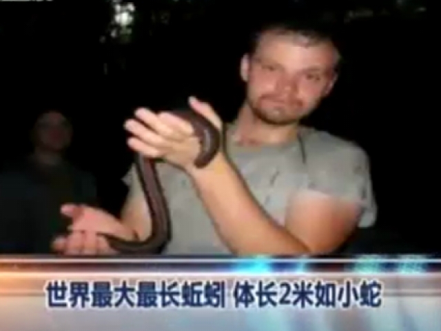 世界最大最長蚯蚓  體長2米如小蛇
