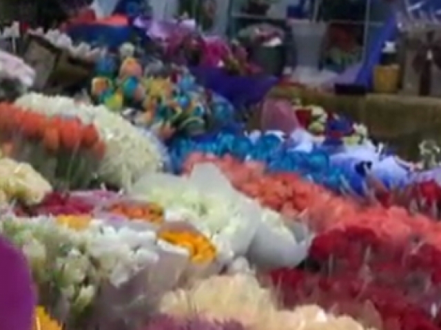 正月十五臨近  玫瑰價格走高