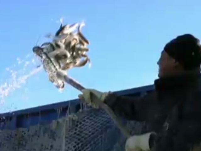 法國：《舌尖上的中國》第二季香飄戛納