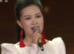 [2015央視春晚]歌曲《鄉愁》 表演者：雷佳