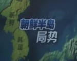 朝鮮半島局勢 記者探訪韓美“禿鷲”軍演