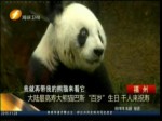 大陸最高壽大熊貓巴斯“百歲”生日 千人來祝壽