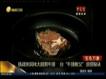 挑戰米其林大廚煎牛排 臺“牛排教父”親授秘訣