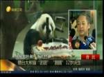 贈臺大熊貓“團團”“圓圓”12歲慶生