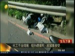 化工千金闖禍   祖孫遭撞死 家屬難接受