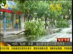 臺風“鲇魚”來襲    福州等地遭大風暴雨侵襲